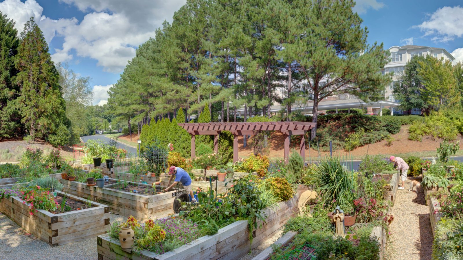 The Cypress Community Garden
